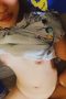 Bokep Indo Yuni Amoy Lonte Ngentot
