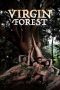 Virgin Forest 2022