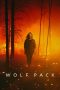 Serial Barat Wolf Pack Season 1