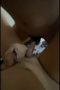 Video Bevila Beril ABG Manies Asyik Ngentot sama Pacarnya