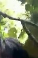 Viral Abg Berbuat Di Hutan