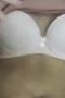 Bokep Indo Hijab Lupa Cabut Detik Terakhir