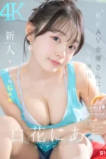 Nia Shirohana Cewek Imut Tobrut Mengakui Hyper Dalam Debut Pertama Nia Shirohana Cewek Imut Tobrut Mengakui Hyper Dalam Debut Pertama