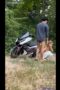 Nyobain gaya doggy diatas nmax Nyobain gaya doggy diatas nmax